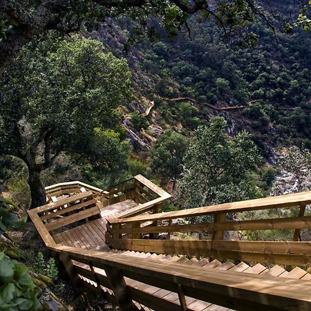 Casa Do Gaio-Turismo De Natureza Αρούκα Εξωτερικό φωτογραφία