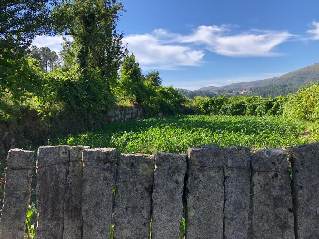 Casa Do Gaio-Turismo De Natureza Αρούκα Εξωτερικό φωτογραφία