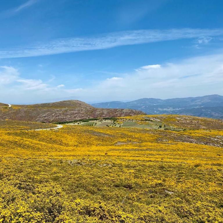 Casa Do Gaio-Turismo De Natureza Αρούκα Εξωτερικό φωτογραφία