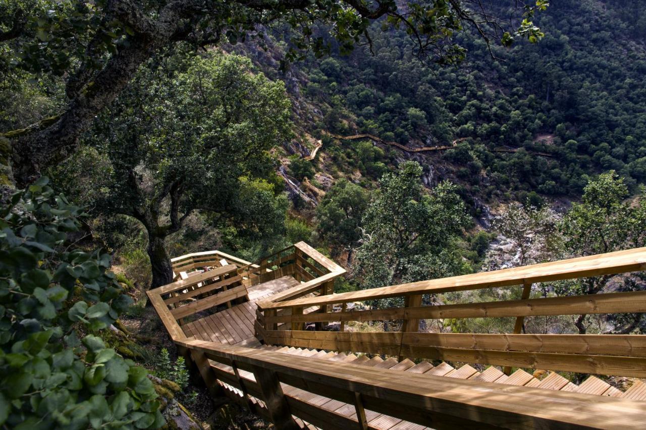 Casa Do Gaio-Turismo De Natureza Αρούκα Εξωτερικό φωτογραφία