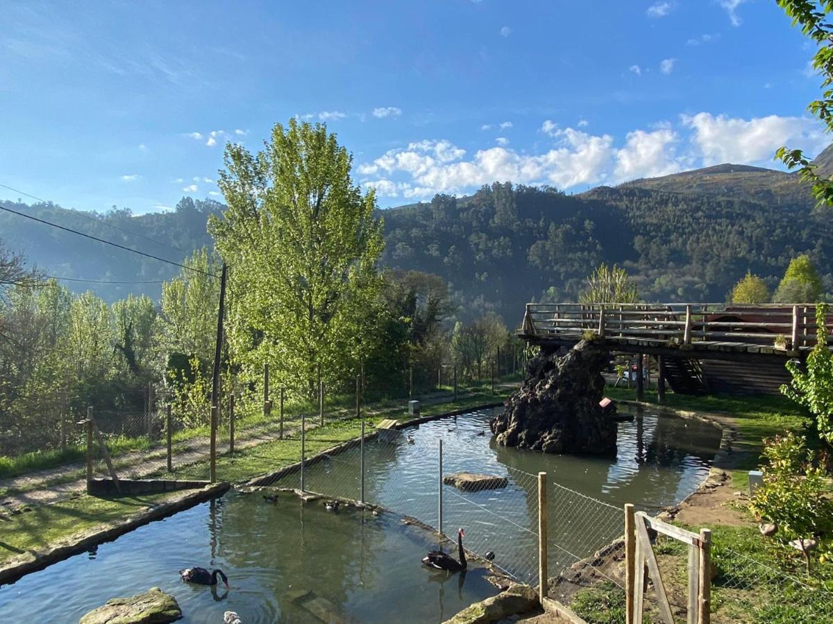 Casa Do Gaio-Turismo De Natureza Αρούκα Εξωτερικό φωτογραφία