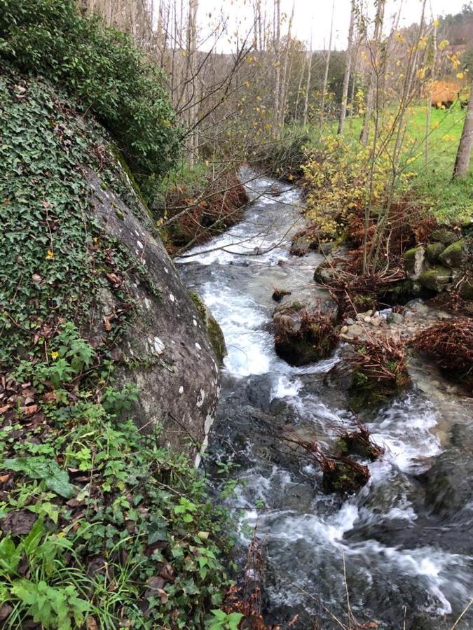 Casa Do Gaio-Turismo De Natureza Αρούκα Εξωτερικό φωτογραφία